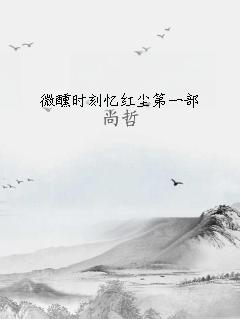 微醺时刻忆红尘第一部