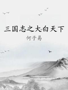 三国志之大白天下